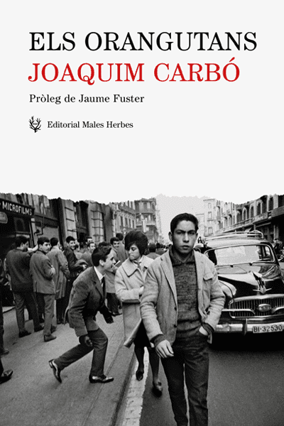 Coberta del llibre | Els orangutans de Joaquim Carbó de la Editorial Males Herbes